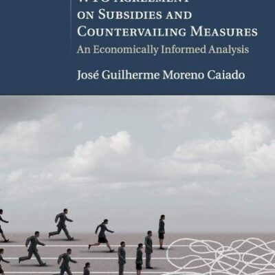 Commitments and Flexibilities in the WTO Agreement on Subsidies and Countervailing Measures: An Economically Informed Analysis (Cambridge International Trade and Economic Law)