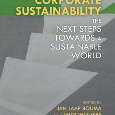 Corporate Sustainability: The Next Steps Towards a Sustainable World (Routledge Research in Sustainability and Business)