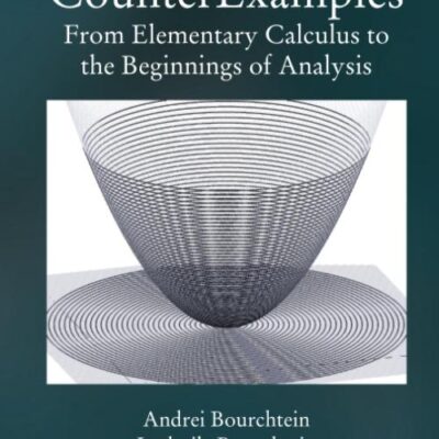 CounterExamples: From Elementary Calculus to the Beginnings of Analysis: 16 (Textbooks in Mathematics)