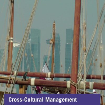 Cross-Cultural Management: With Insights from Brain Science (Routledge International Business Studies)