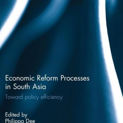 Economic Reform Processes in South Asia: Toward Policy Efficiency