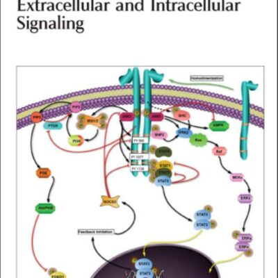 EXTRACELLULAR AND INTRACELLULAR SIGNALING: Volume 10 (Drug Discovery)