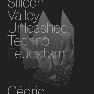 How Silicon Valley Unleashed Techno-feudalism: The Making of the Digital Economy
