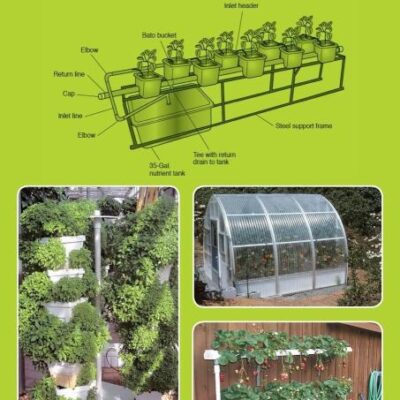 Hydroponics for the Home Grower