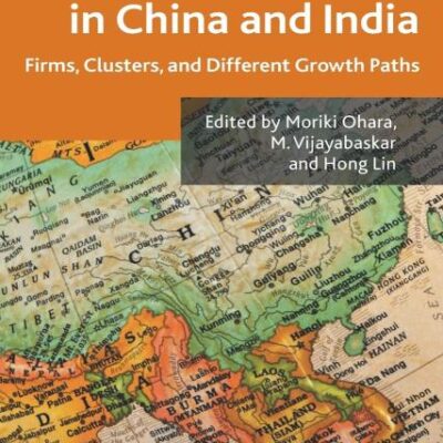 Industrial Dynamics in China and India: Firms