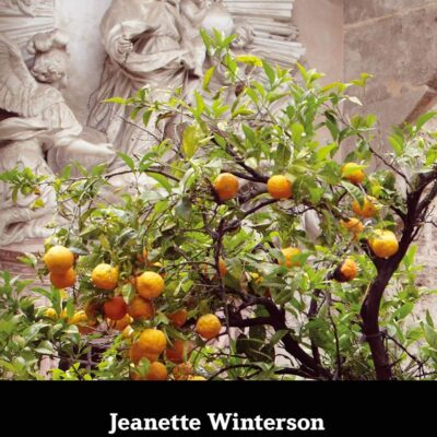 Jeanette Winterson and Religion (New Directions in Religion and Literature)