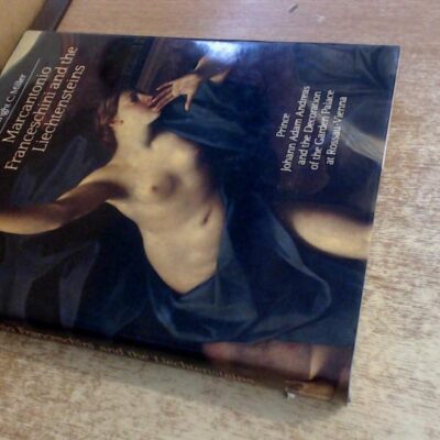 Marcantonio Franceschini and the Liechtensteins: Prince Johann Adam Andreas and the Decoration of the Liechtenstein Garden Palace at Rossau-Vienna (Cambridge Studies in the History of Art)