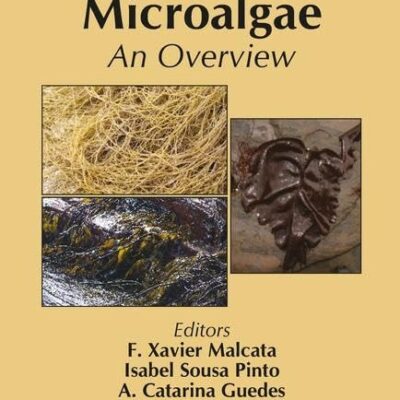Marine Macro- and Microalgae: An Overview