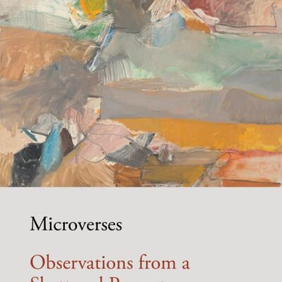 Microverses: Observations From a Shattered Present