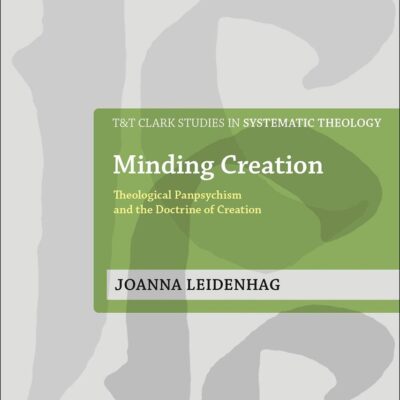 Minding Creation: Theological Panpsychism and the Doctrine of Creation (T&T Clark Studies in Systematic Theology)