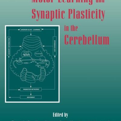 Motor Learning and Synaptic Plasticity in the Cerebellum