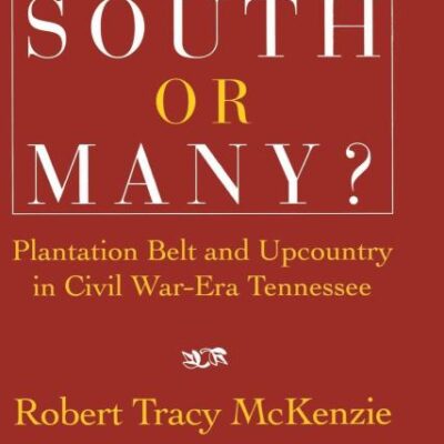 One South Or Many?: Plantation Belt and Upcountry in Civil War-Era Tennessee