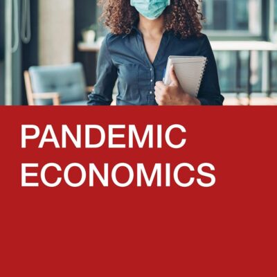 Pandemic Economics