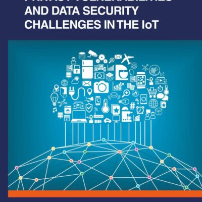 Privacy Vulnerabilities and Data Security Challenges in the IoT (Internet of Everything (IoE))