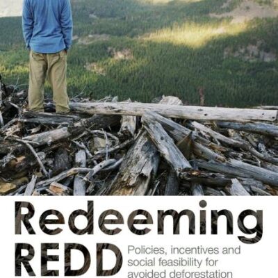 Redeeming REDD: Policies