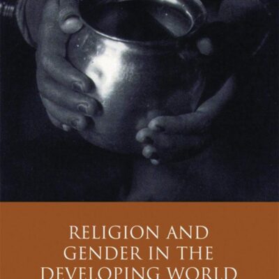 Religion and Gender in the Developing World: Faith-Based Organizations and Feminism in India (Library of Development Studies)