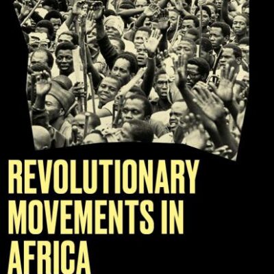 Revolutionary Movements in Africa: An Untold Story (Black Critique)
