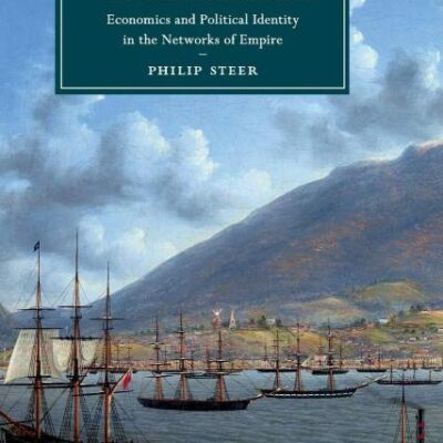 Settler Colonialism in Victorian Literature: Economics and Political Identity in the Networks of Empire: 122 (Cambridge Studies in Nineteenth-Century Literature and Culture