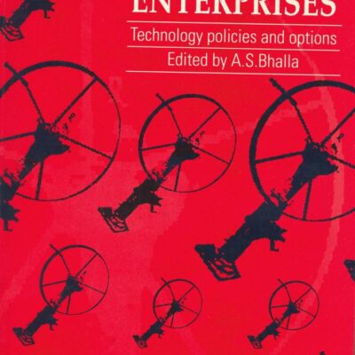 Small and Medium Enterprises: Technology policies and options