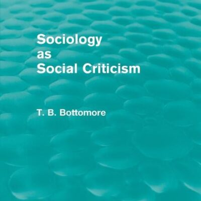Sociology as Social Criticism (Routledge Revivals)