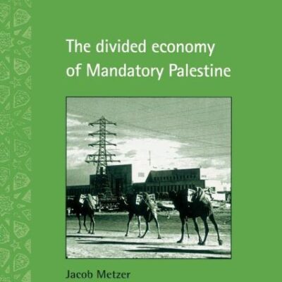 The Divided Economy of Mandatony Palestine: 11 (Cambridge Middle East Studies)