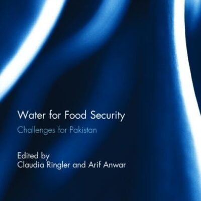 Water for Food Security: Challenges for Pakistan (Routledge Special Issues on Water Policy and Governance)