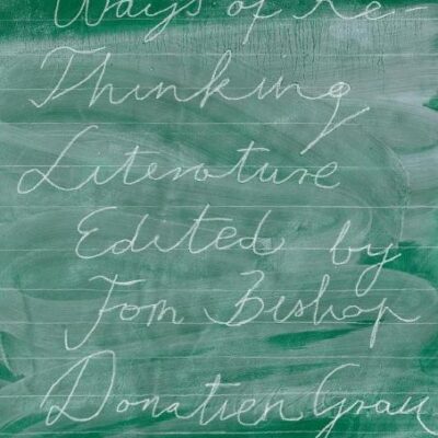 Ways of Re-Thinking Literature