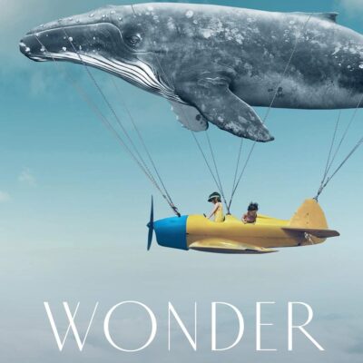 Wonder: The Extraordinary Power of an Ordinary Experience