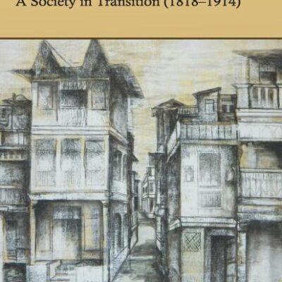 Ahmedabad: A Society in Transition 18181914