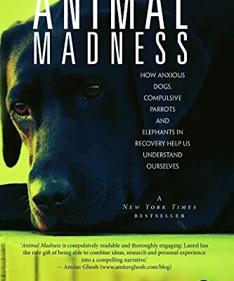 Animal Madness: How Anxious Dogs