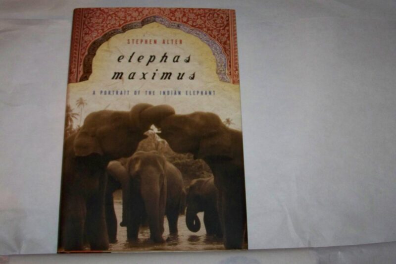 Elephas Maximus: A Portrait of the Indian Elephant