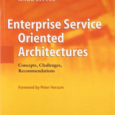 Enterprise Service Oriented Architectures