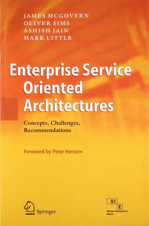 Enterprise Service Oriented Architectures