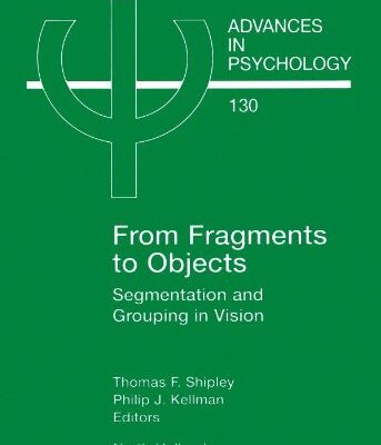 From Fragments to Objects: Segmentation and Grouping in Vision: Volume 130 (Advances in Psychology)