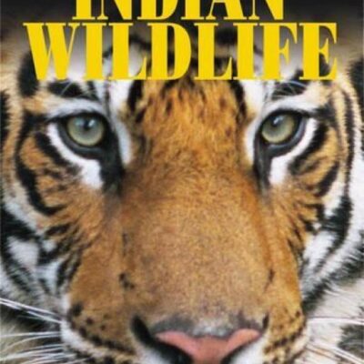 India's Wild Wonders