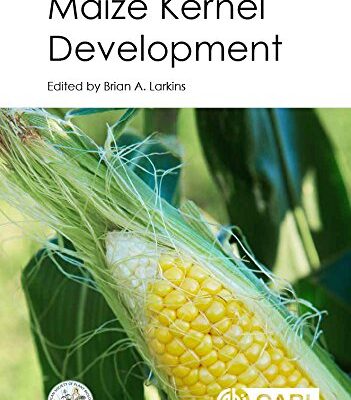 Maize Kernel Development