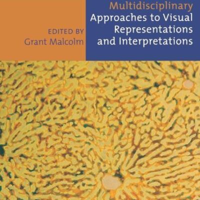 Multidisciplinary Approaches to Visual Representations and Interpretations (Volume 2) (Studies in Multidisciplinarity