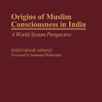 Origins of Muslim Consciousness in India: A World-System Perspective: 29 (Contributions to the Study of World History)