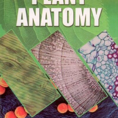 Plant Anatomy