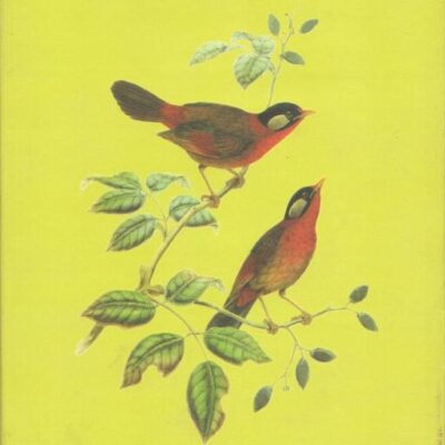 Tehni Par Chiriya (In Hindi)