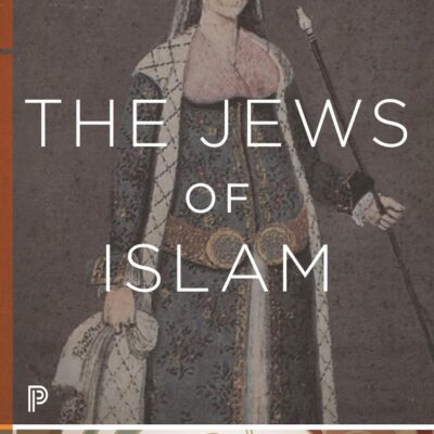 The Jews of Islam: Updated Edition