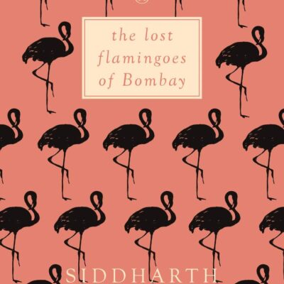 The Lost Flamingoes of Bombay