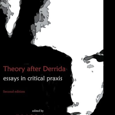 Theory after Derrida: Essays in Critical Praxis