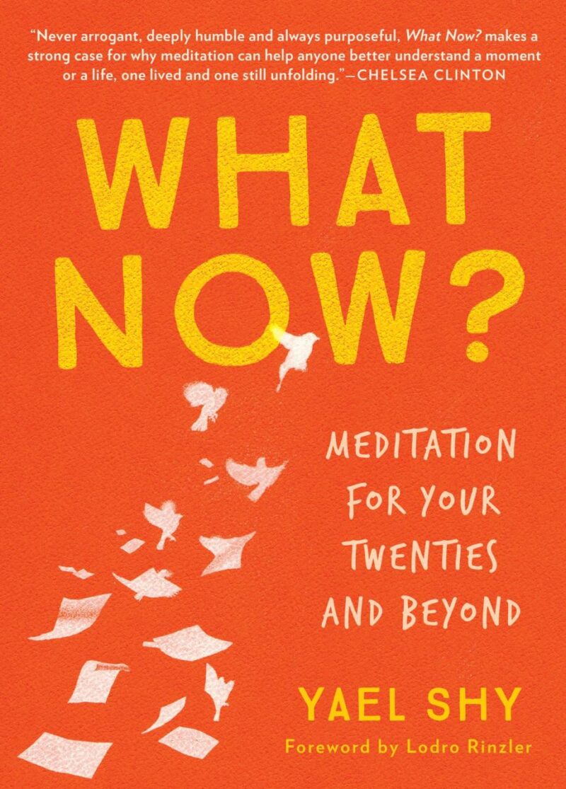 What Now?: Meditation for Your Twenties and Beyond