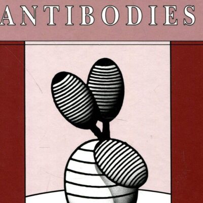 FC Receptors and the Action of Antibodies