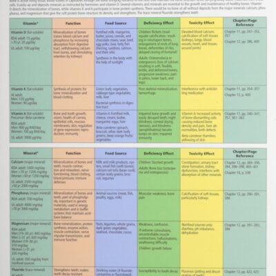 A Functional Approach: Vitamins and Minerals - Understanding Nutrition