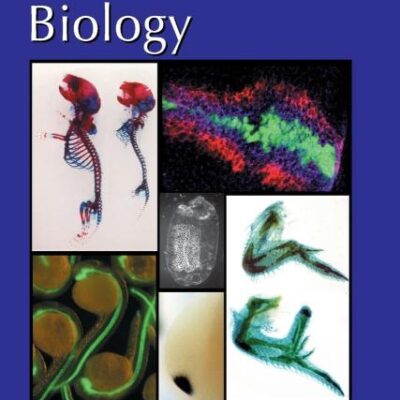 Current Topics in Developmental Biology (Volume 53)