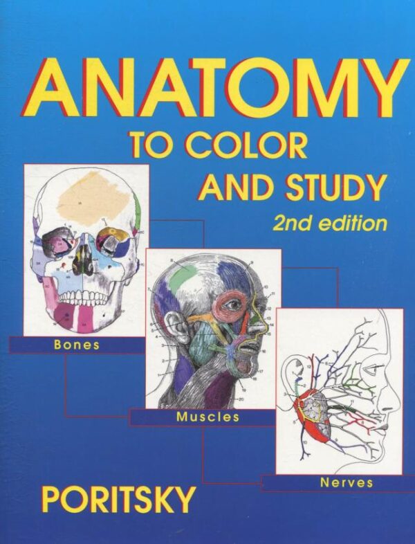 ANATOMY TO COLOR AND STUDY