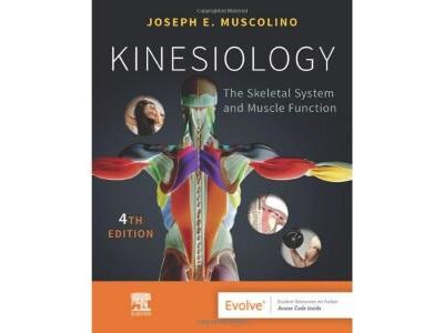 Kinesiology-4E