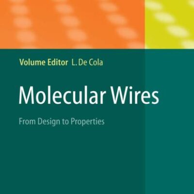 MOLECULAR WIRES: FROM DESIGN TO PROPERTIES: 257 (Topics in Current Chemistry)